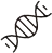团队运动策划